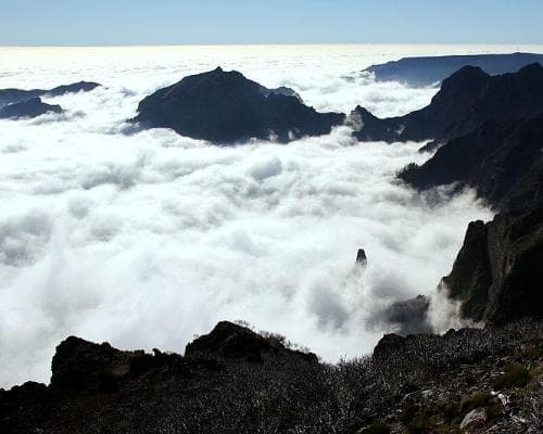 Circuit à Madère : L'île fleurie