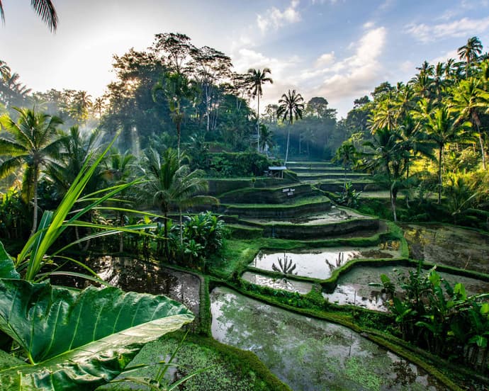 6 DIAS UBUD Y SUR DE BALI 