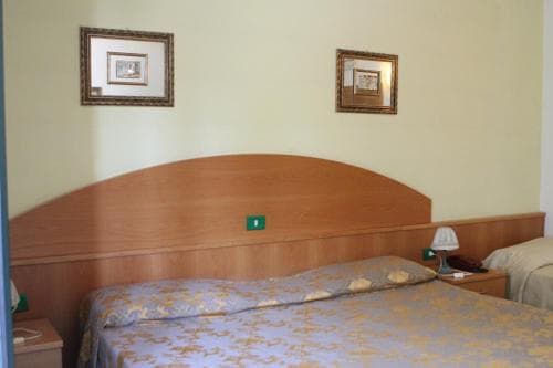 Ascot Lodging