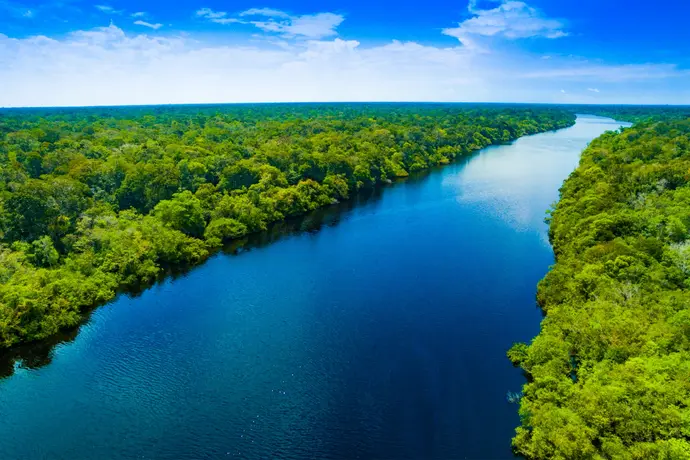 Amazonia y Sus Encantos (Manaus - Amazonia)