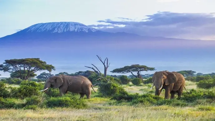 Kenya Classic, Sopa Lodges - Visite privée