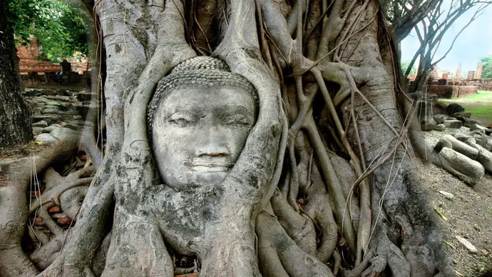 5 Days Thai Wonders
