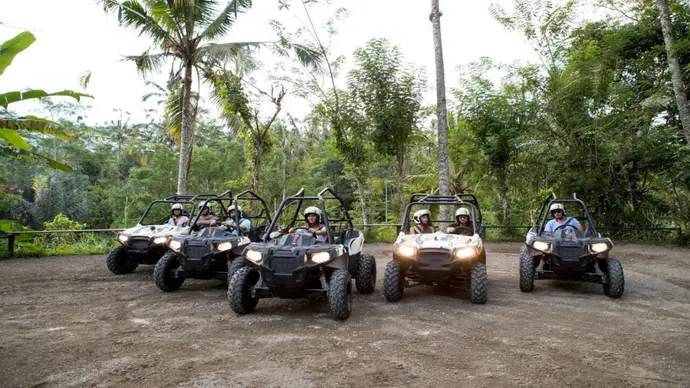 Jungle Buggies