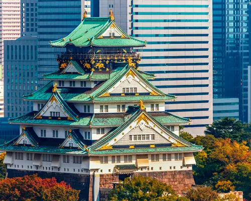 Immersion au Japon