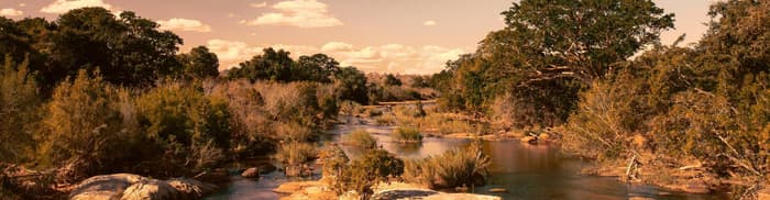 Krüger National Park