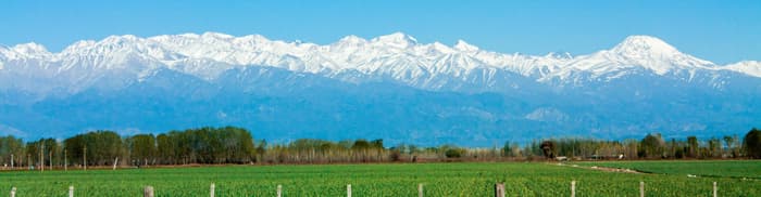 Mendoza (Province)