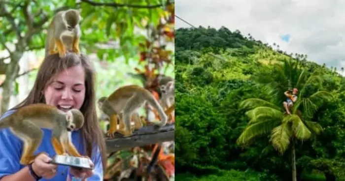 Aventura de Tirolesa y Monkeyland en Punta Cana