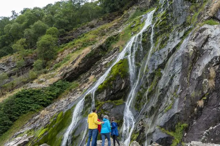 Wicklow, Glendalough, Cascada y Show de Perros Pastores