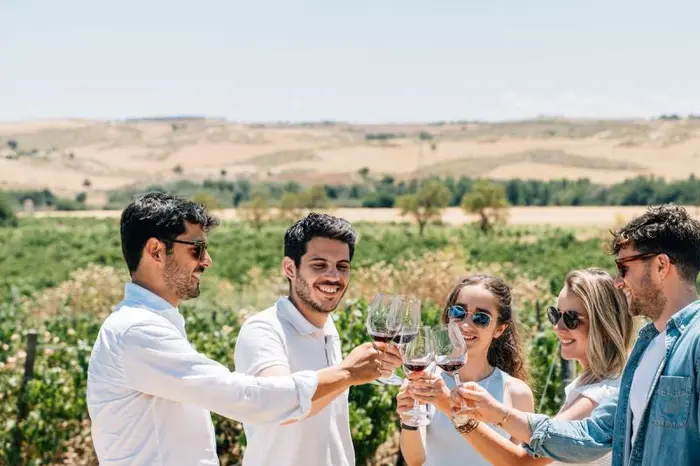 Toledo City Tour y Experiencia en Bodega con Cata de Vinos desde Madrid