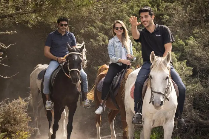 Experiencia de Paseo a Caballo en Comporta y Tour por la Ciudad de Setúbal desde Lisboa en Semiprivado
