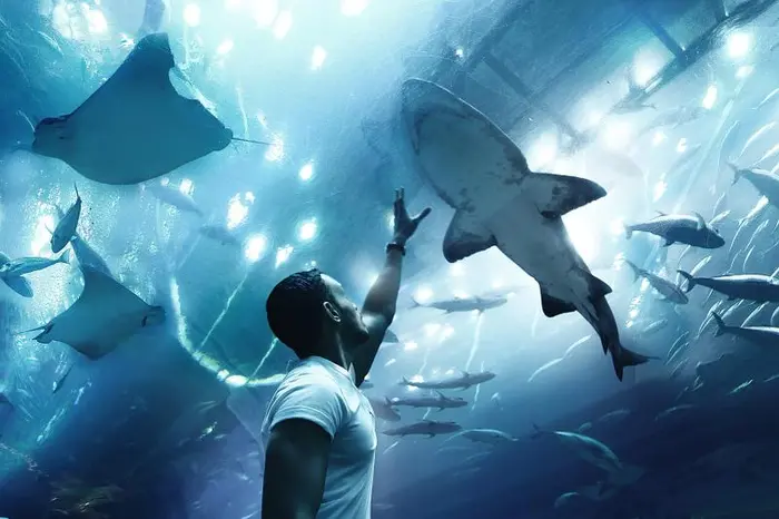 Excursión a Mezquita de Abu Dhabi y Sea World con Recogida
