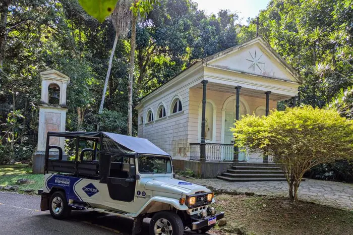 Tour Privado en Jeep por la Selva Tropical con Pick-up