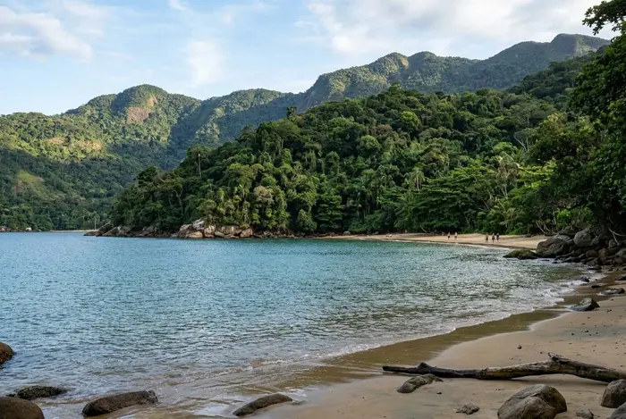 Traslado a Ilha Grande