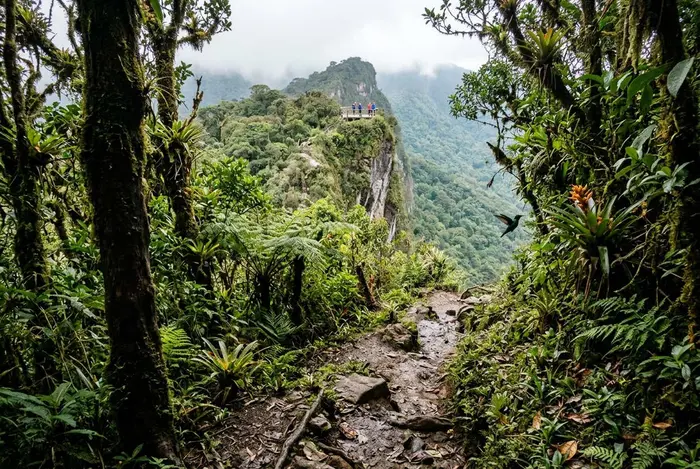 Excursión al Parque Natural Chicaque