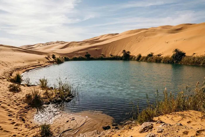 Excursión de 5 días a Alejandría y el desierto de Siwa