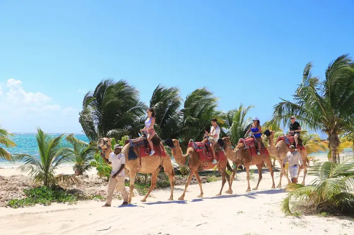 Paseo en camello por Riviera Maya