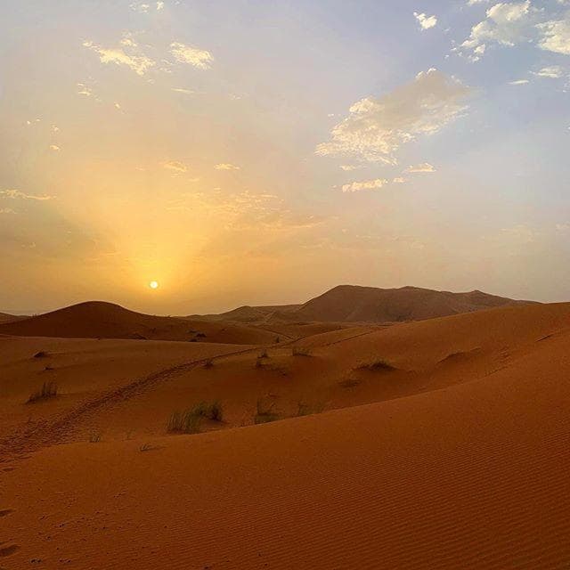 Camp Sahara Majestic