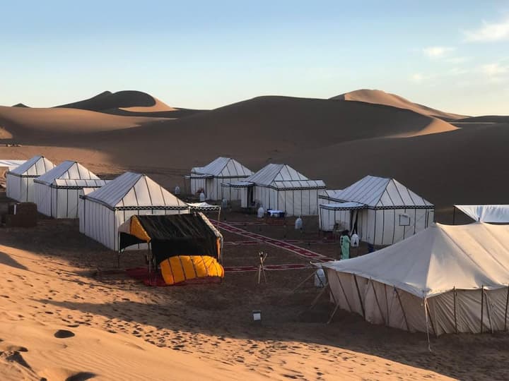 Camp Sahara Majestic