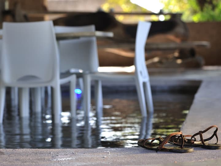 Sabi Sabi Earth Lodge