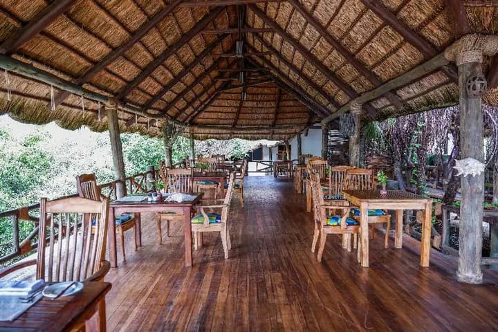 Saadani Safari Lodge - bush, river, beach