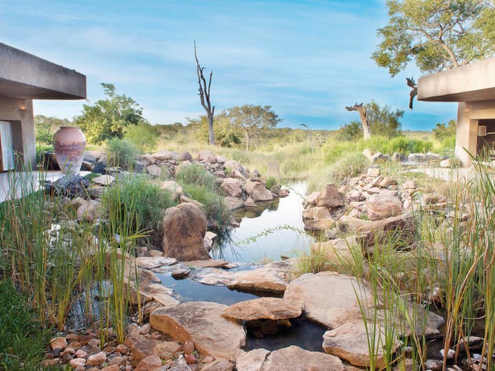 Sabi Sabi Earth Lodge