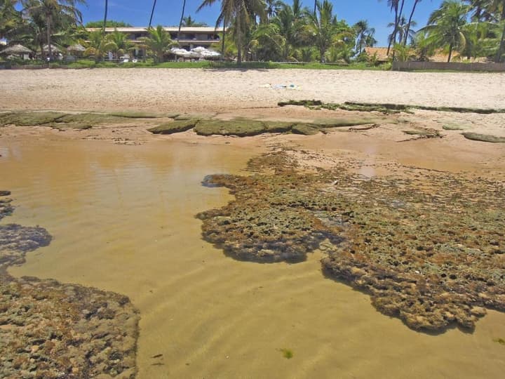 Porto da Lua
