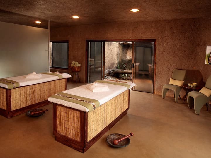 Sabi Sabi Earth Lodge