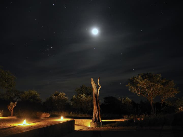 Sabi Sabi Earth Lodge