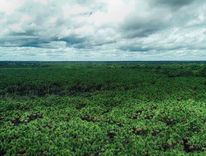 EcoAmazonia Lodge