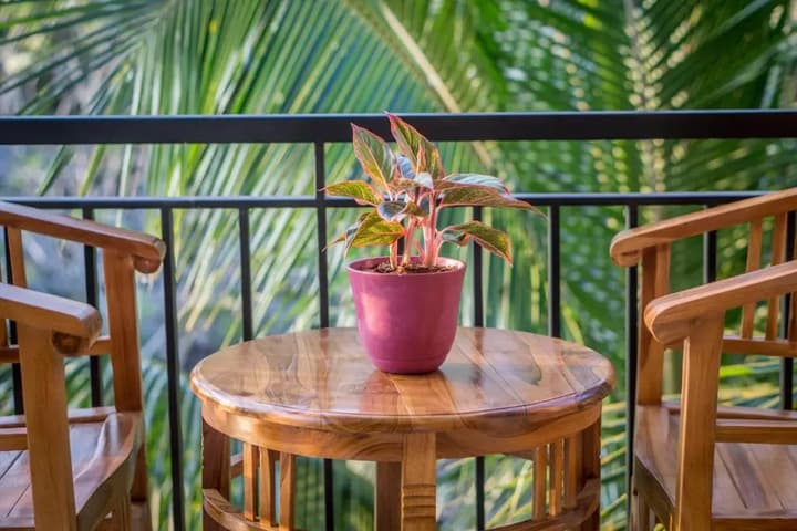 Jero Griya Ubud