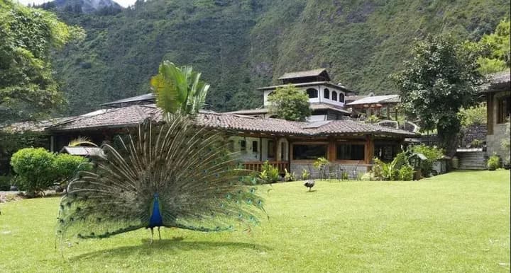 Samari Spa Resort