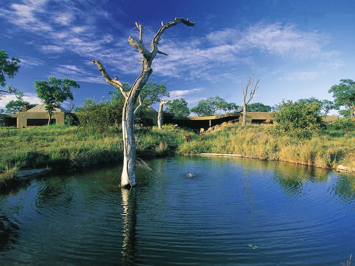 Sabi Sabi Earth Lodge