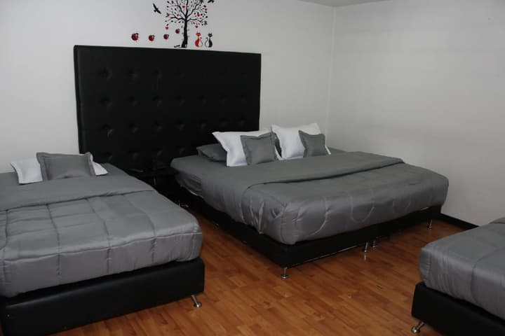 Hotel Dorado Plaza