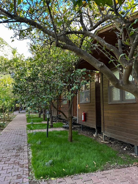 Olympos Varuna Pansiyon Guest house