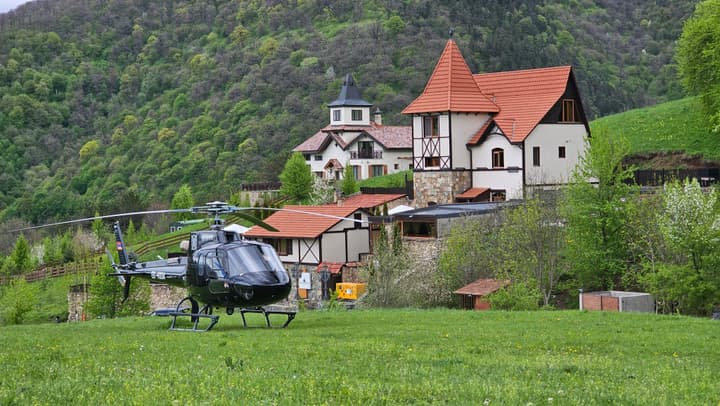 Hotel Alpine Castle