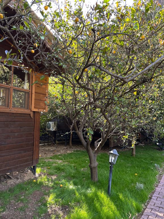 Olympos Varuna Pansiyon Guest house