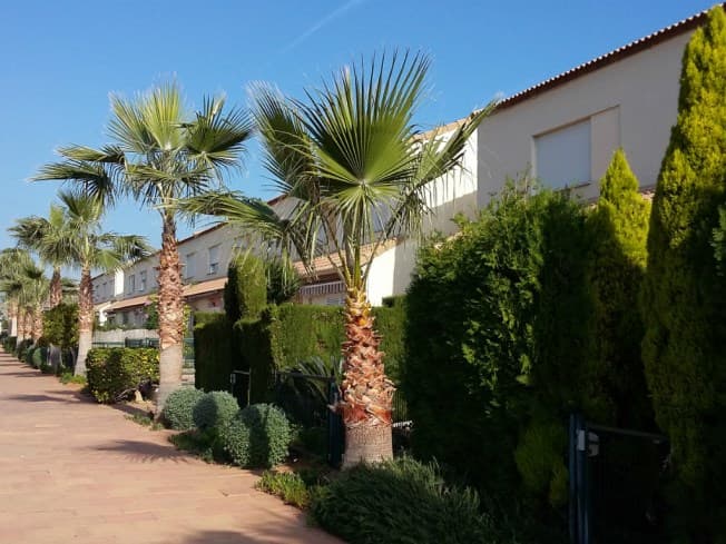 Apartamentos Villas de Oropesa 3000