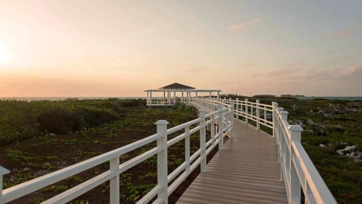Iberostar Origin Playa Pilar