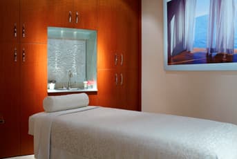 The Chatwal, a Luxury Collection Hotel, New York City