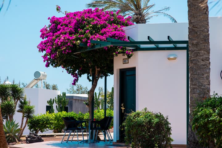 HL Club Playa Blanca Hotel