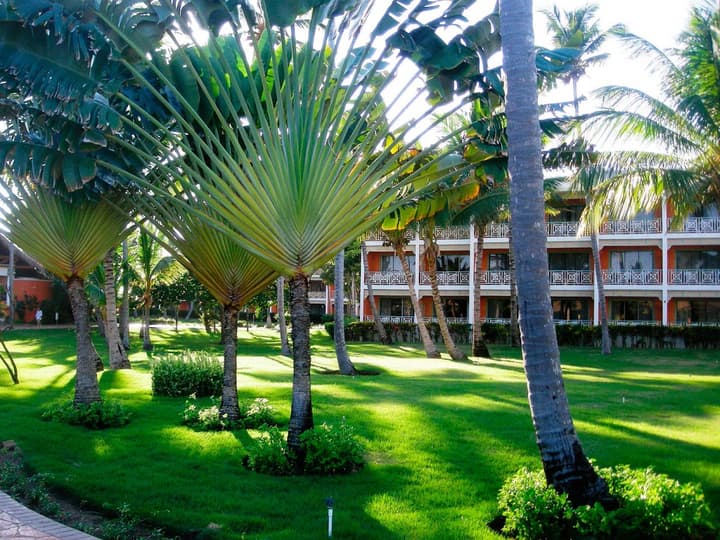 VIK Hotel Arena Blanca