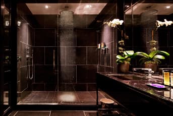 The Chatwal, a Luxury Collection Hotel, New York City