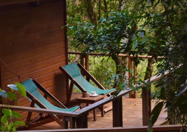 Mocona Virgin Lodge