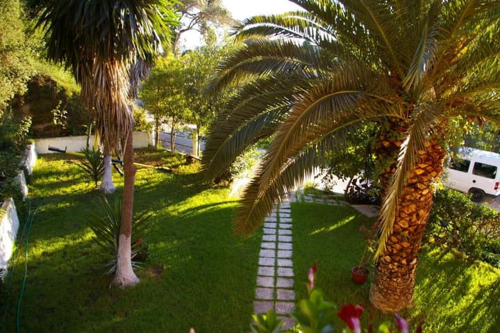 Angeliki Apartments