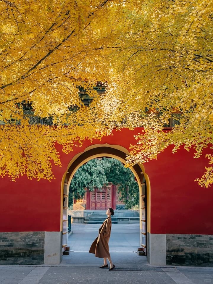 East Sacred Wangfujing
