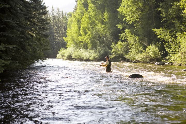 Aspen Meadows Resort