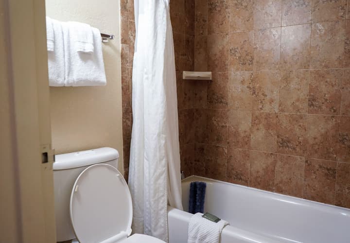 Rosen Inn Lake Buena Vista