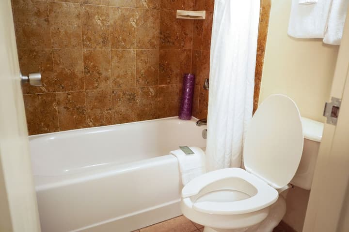 Rosen Inn Lake Buena Vista