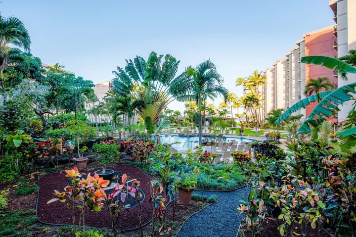 Aston Kaanapali Shores