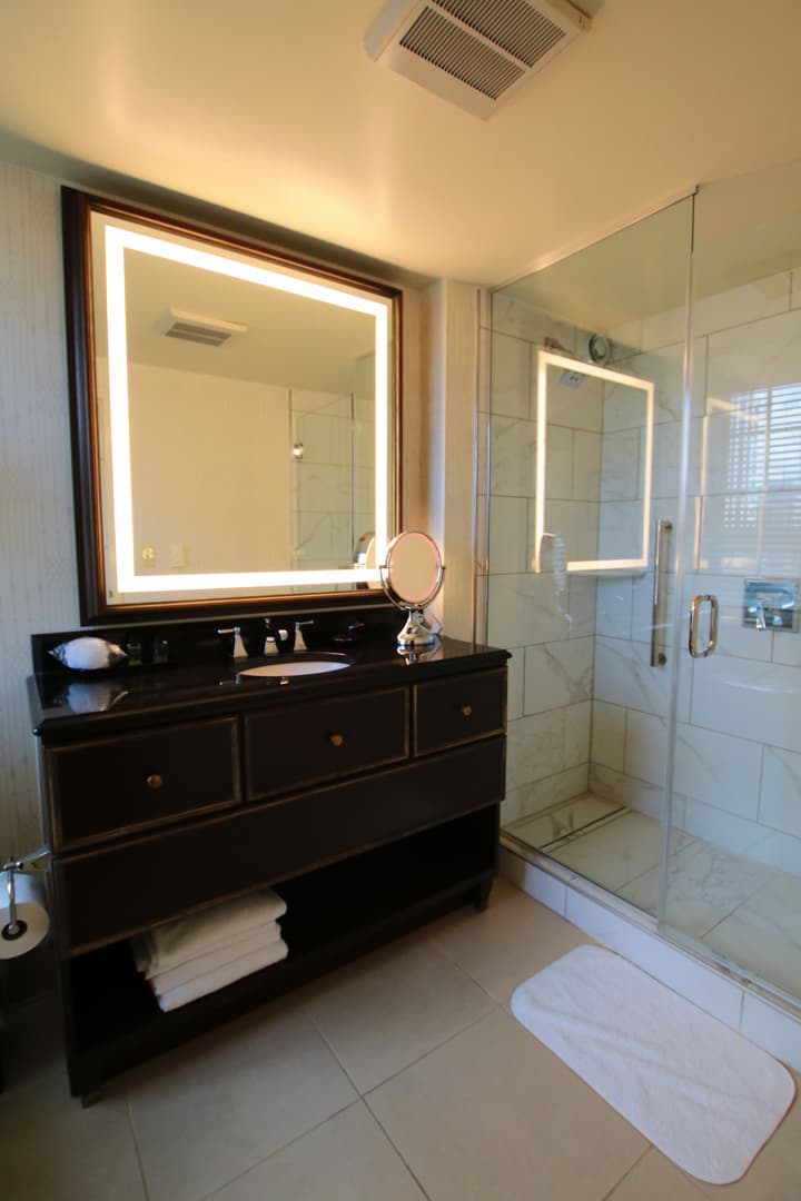 Hotel Roanoke & Conference Ctr, Curio Collection by Hilton 